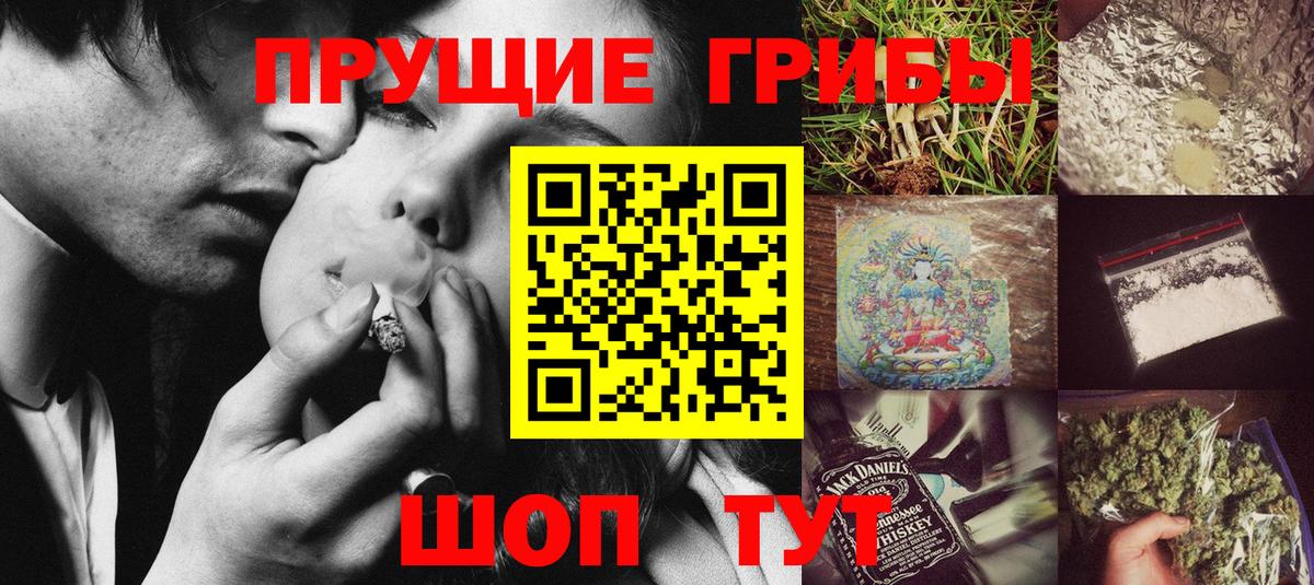 Курчатов  Псилоцибиновые грибы ЛСД  где найти наркотики  Вход с VPN 